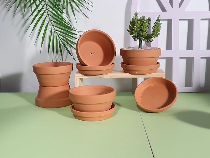 vensovo 5.7 Inch Terracotta Shallow Succulent Pot - 6 Pack Terra Cotta Clay Pots with Saucer, Cacuts Terra-Cotta Indoor and Outdoor Planters with Drainage Hole
