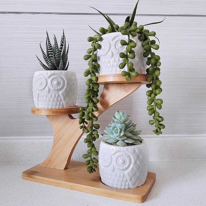 3pcs Owl Succulent Pots with 3 Tier Bamboo Saucers Stand Holder - White Modern Decorative Ceramic Flower Planter with Drainage - Home Office Desk Garden Mini Cactus Plant Pot Indoor Decoration