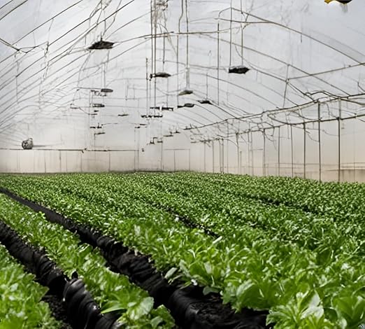 FGY 120PCS Drip Irrigation Fittings Kit for 1/4" Tubing - Couplings, Tees, Elbows, End Plugs - Barbed Connectors for Drip System