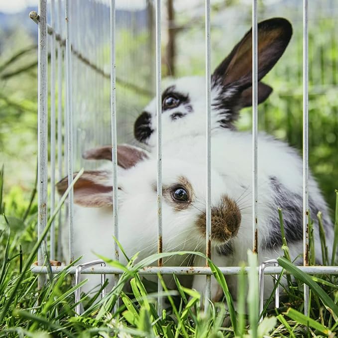 Landscape Staples 6 Inch 150 Packs 11 Gauge Galvanized Lawn Stakes, Heavy Duty Sod Pins for Fences, Lawns, Weed Barriers, and Landscape Fabrics, Netting, Irrigation Hose, Floor Mats