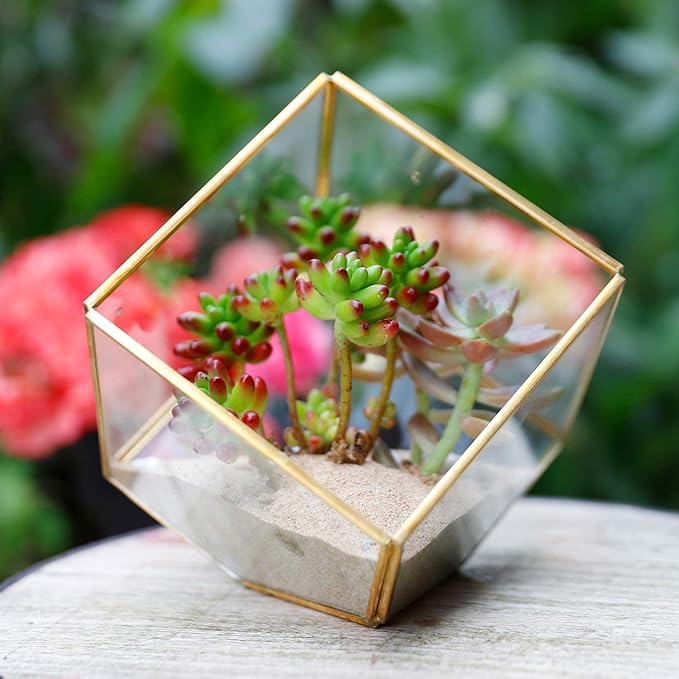 Glass Geometric Plant Terrarium,Succulent & Air Planter for Home Garden Office Decoration(Gold Cubic Set of 2)