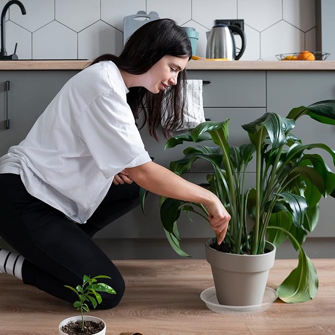 TITE Plant Saucer Heavy Large Planter Durable Thicker Plastic Plant Trays for Indoors and Outdoor,Plant Saucer Drip Trays (Transparent, 10 inch)