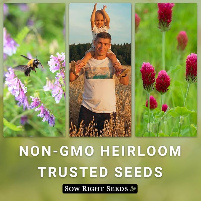 Sow Right Seeds - Yellow Mustard Seed for Planting - Cover Crops to Plant in Your Home Garden - Enriches Soil - Suppresses Weeds - Cold Hardy - Non-GMO Heirloom Seeds - Great Gardening Gift (1)