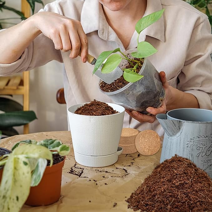 ZeeDix 100 Pcs (30mm) Compressed Coco Coir Fiber Potting Soil- Coir Medium, Coconut Soil for Indoors or Outdoors, Bonsai, Herbs, Plants, Flowers and Vegetables