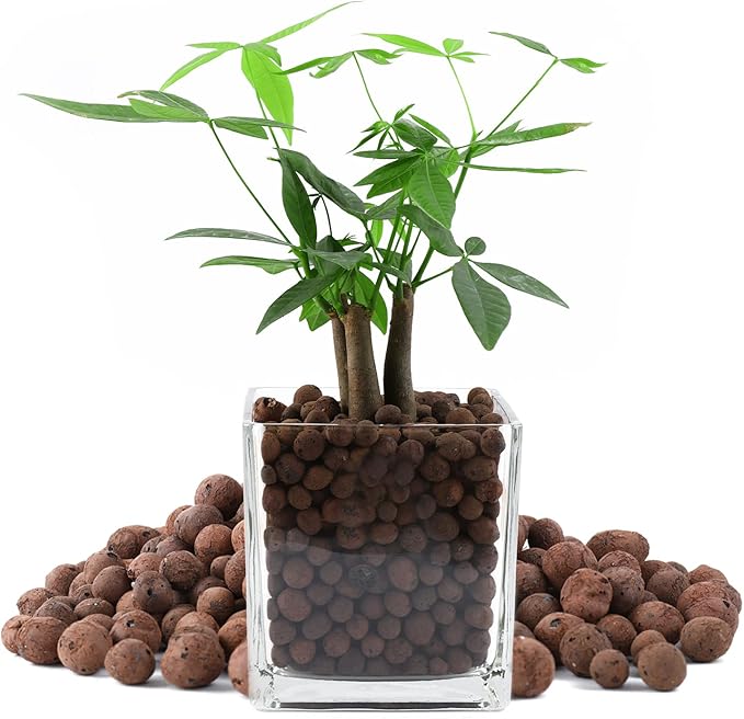Natural Leca Clay Pebbles, 15LBS 8mm-18mm Expanded Organic Balls Plants Grow Media Gardening Soil for Hydroponics, Drainage, Decoration, Aquaponics