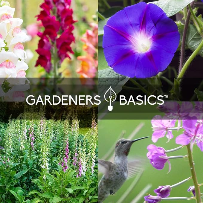 Gardeners Basics, Hummingbird Seeds for Planting Outdoors Flower Seeds (5 Variety Pack) Zinnia, Foxglove, Lupine, Morning Glory, Snapdragons Varieties for Bees, Pollinators Wildflower Seed