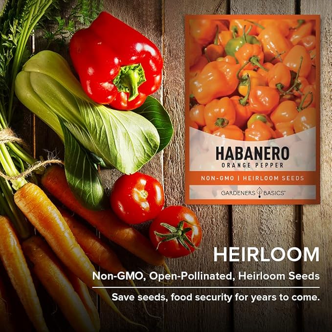 Gardeners Basics, Orange Habanero Pepper Seeds for Planting Heirloom Non-GMO Hot Habanero Peppers Plant Seeds for Home Garden Vegetables Makes a Great Gift for Gardeners