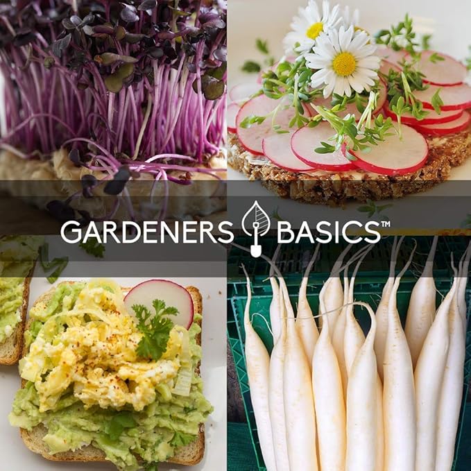 Gardeners Basics, Radish Seeds for Planting 5 Individual Packets - Watermelon, French Breakfast, Champion, Cherry Belle, White Icicle for Your Non GMO Heirloom Vegetable Garden