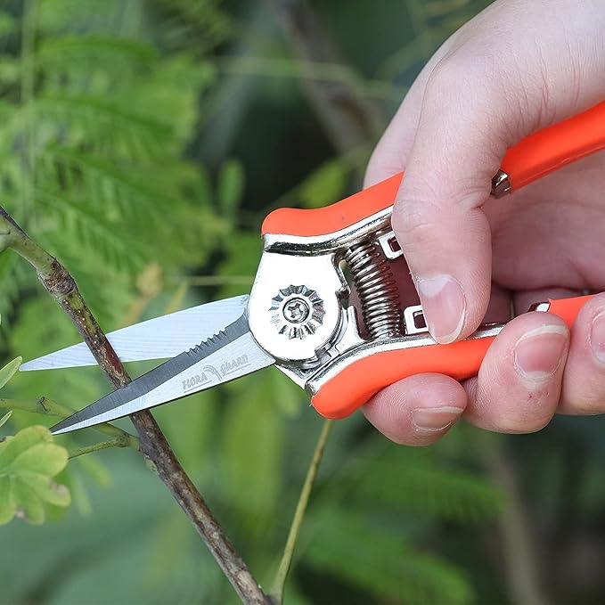 FLORA GUARD 6.5 Inch Micro-Tip Pruning snip Gardening Hand Pruning Shears Trimming Scissors with Stainless Steel(Orange)