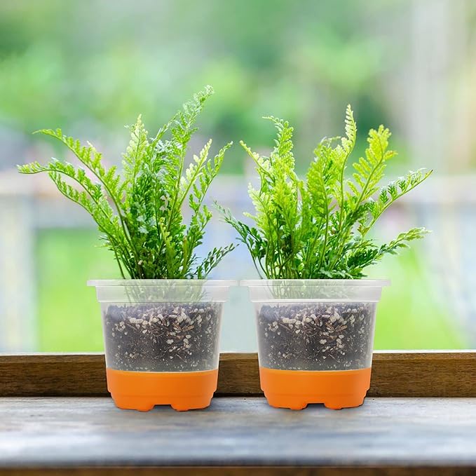 MIXC 30 Packs 4" Reinforced Clear Nursery Pots with Silicone Base for Easy Transplant, Transparent Plastic Plant Pot Reusable Seedling Pots Seed Starter Pots Flower Pot, Orange