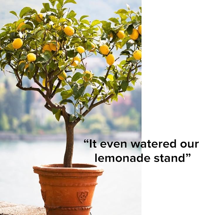 Olla Pot Classic Large – Sustainable Olla Watering Pot with Lid | Terracotta Self Watering Pot While on Vacation | The Olla Company