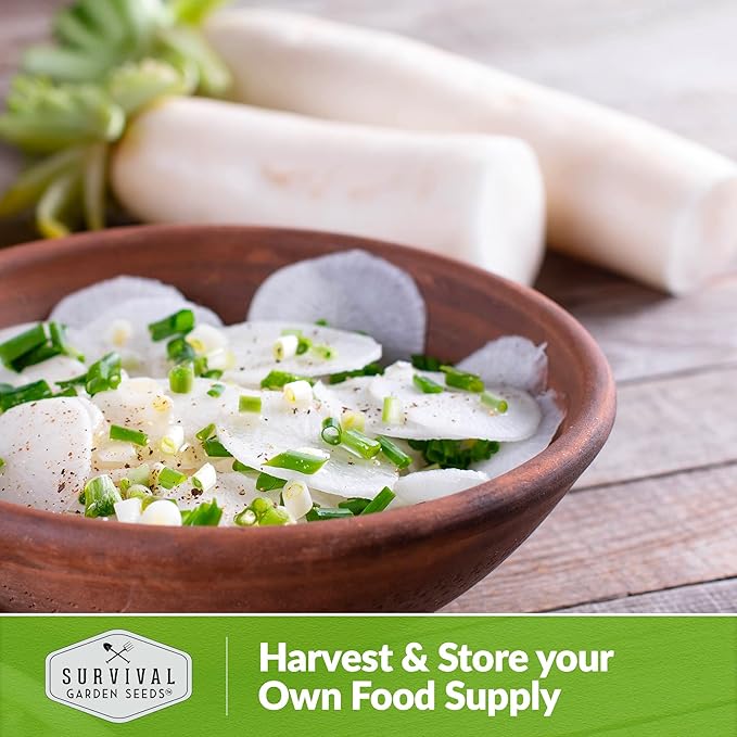 Survival Garden Seeds - Daikon Radish Seed for Planting - 3 Packs with Instructions to Plant and Grow Japanese Radish Vegetables in Your Home Vegetable Garden - Non-GMO Heirloom Variety