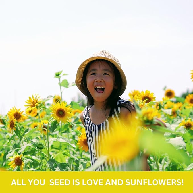 Kids Outdoor Sunflower Garden Kit - Complete Kit for Growing Your Own Sunflowers from Seeds with Grow Rings and Greenhouse Germination Domes, Non-GMO Seeds, BPA-Free
