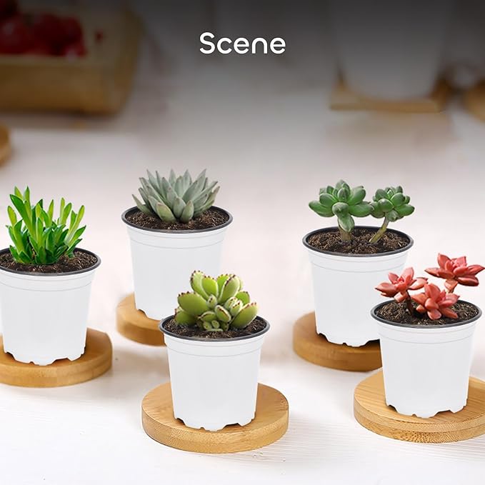 GROWNEER Nursery Pots 120 Packs 4 Inch Plastic Planting Pot with 15 Pcs Plant Labels, Seed Starter Kit Flower Planter Container for Succulents, Seedlings, Cuttings, Transplanting, White