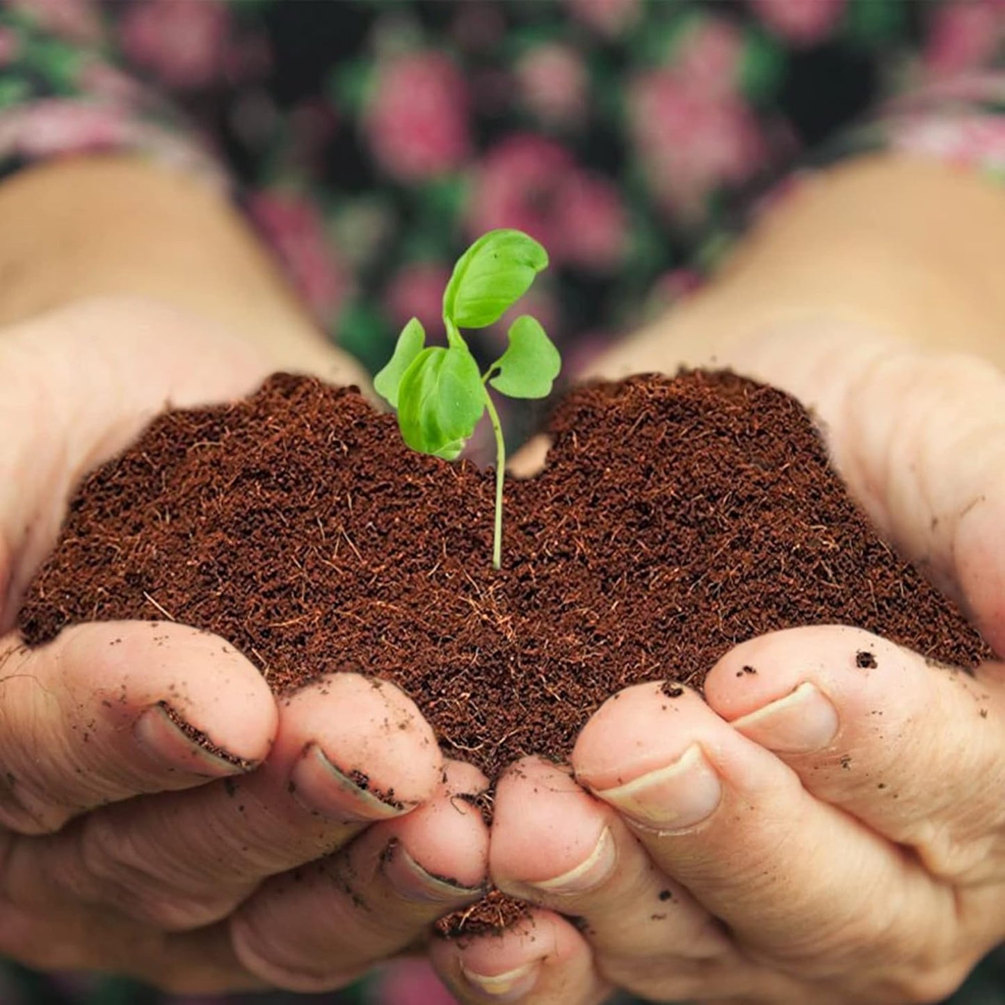 Home and Country Triple Washed Compressed Coco Coir Brick (40 LBS) - Coco Fiber is an Ideal Compost Starter for Your Home Garden. Coco Coir Bricks Provide Organic Alternative to Peat Moss for Plants.