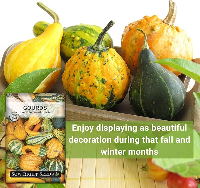 Sow Right Seeds - Decorative Small Gourds Mix Seed for Planting - Non-GMO Heirloom Packet with Instructions to Plant & Grow an Outdoor Home Vegetable Garden - Fun, Colorful and Unique Squash (1)