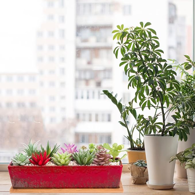 ARTKETTY Succulent Pots - 12.1 Inch Large Succulent Planters Pots with Drainage Tray, Long Rectangle Ceramic Pots for Indoor Cactus/Succulent Plants Shallow Bonsai Window Box for Home Garden Decor