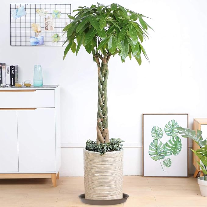 TITE Plant Saucer 16 inch,Heavy Large Planter Durable Thicker Plastic Plant Trays for Indoors and Outdoor,Plant Saucer Drip Trays,Brown (16 inch,Brown) Pack of 3