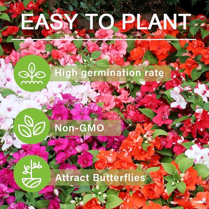 500+Impatiens Mixed Seeds for Planting Outdoor-Perennial Impatiens Balsamina Plants Ornamental Garden Potted Bonsai Indoor