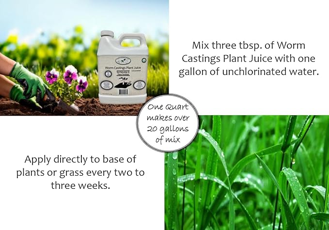 Worm Castings Tea Plant Juice - Quart. Concentrated Worm Tea with Kelp and Feather Meals. Indoor and Outdoor Soil Restorer and Plant Fertilizer for All Vegetation with Soil.