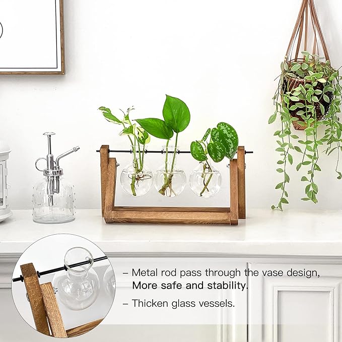 Ivolador Propagation Station, Plants Terrarium, Plants Lover Gifts for Women,Plant Cutting Holder Home décor,Gifts for Women,House Warming Gifts New Home for her