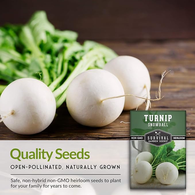 Survival Garden Seeds - Turnip Snowball Seed for Planting - 3 Packs with Instructions to Plant and Grow Root Vegetables and Greens in Your Home Vegetable Garden - Non-GMO Heirloom Variety - Seed Vault