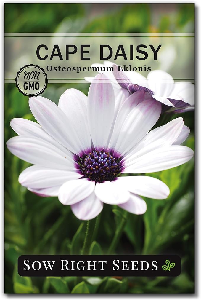 Sow Right Seeds - Daisy Flower Seed Collection for Planting - Attract Pollinators - Beautiful Annual and Perennial Flowers to Plant in Your Home Garden - Non-GMO Heirloom Seeds - Great Gardening Gift