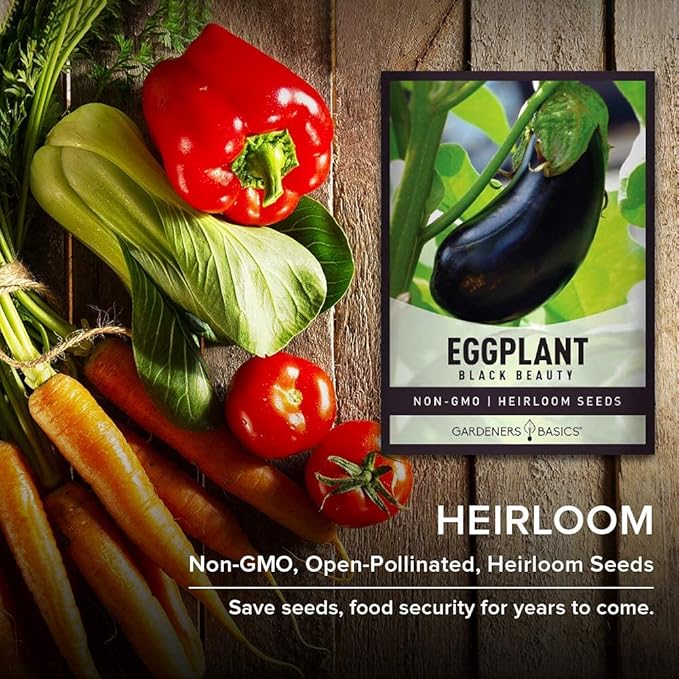 Gardeners Basics, Eggplant Seeds for Planting - Black Beauty Solanum melongena is A Great Heirloom, Non-GMO Vegetable Variety- 300 mg Seeds Great for Outdoor Spring, Winter and Fall Gardening