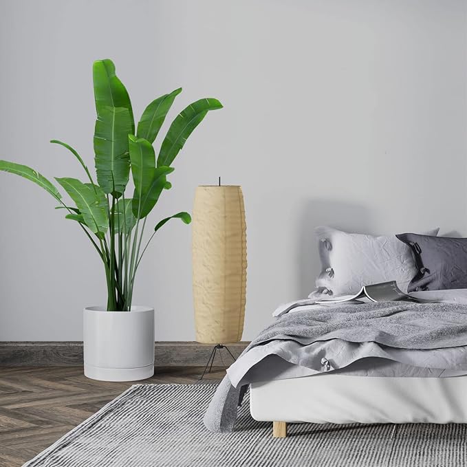 Aveyas 10 inch Ceramic Plant Pot with Drainage Hole and Saucer - Suitable for Indoor and Outdoor Use, Modern Planters for House Garden Flower Tree Snake Monstera Plants (10", Glossy White)