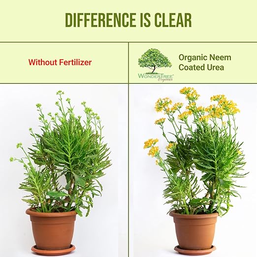 Eden Grow Organic Enriched Fertilizer | Neem Plant Food (Neem Coated Urea)
