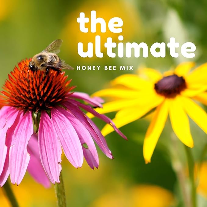 32,500 Seeds Honey Bee Wildflower Pollinator Mix - Perennial & Annual Wild Flowers for Spring & Fall - Planting Outdoors to Save The Bees - California Poppy, Primrose, Bergamot - 1 oz