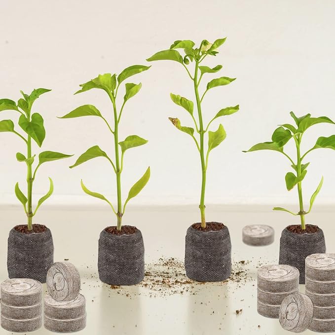 ZeeDix 300 Pcs (30mm) Peat Pellet Fiber Soil Plant Seed Starters - Seed Starter Pellets Pods Compressed Peat Pellets for Grow Herbs, Plant,Flowers and Vegetables