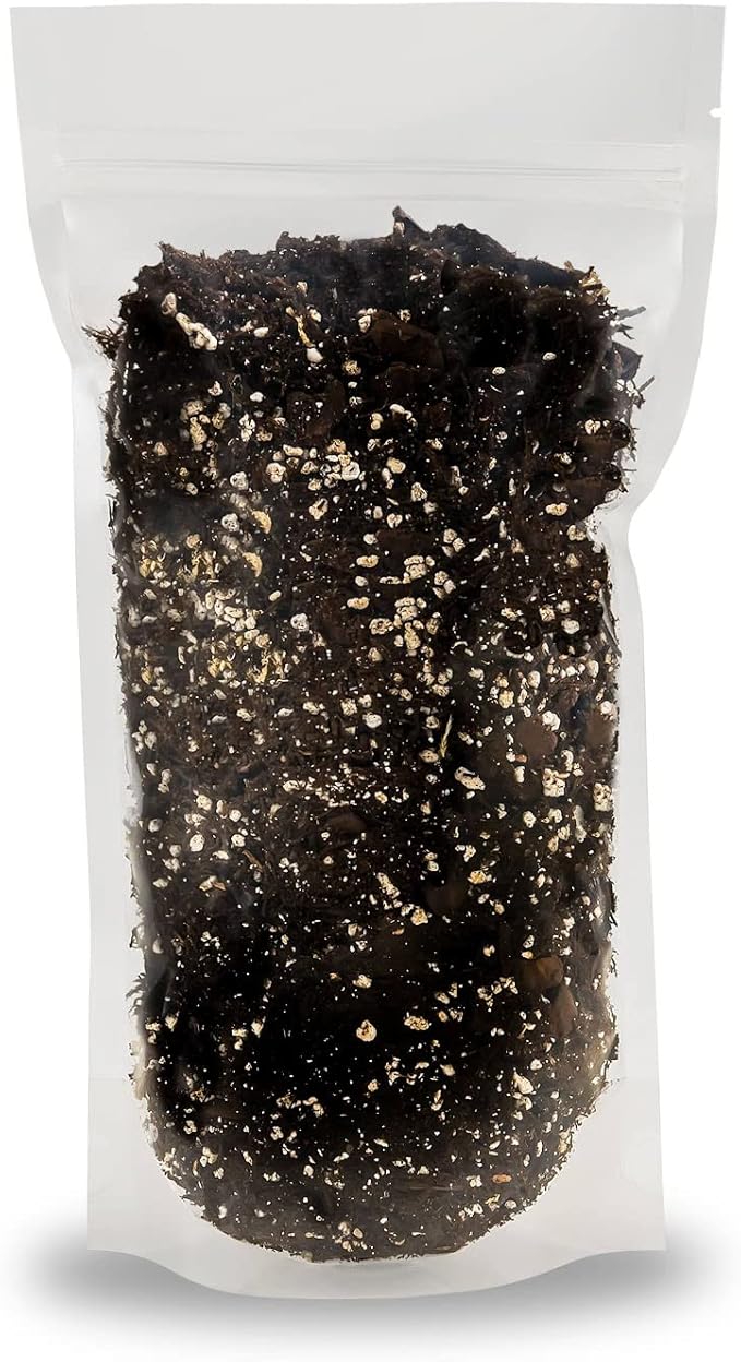 Pure Hard Akadama for Bonsai/Succulent Soil - (3mm-6mm) Small Grain for Cactus, Bonsai Plants Soil Amendment, Prevent Over Water, Provides Optimal Water Retention, Fast Drainage (2 Quart)