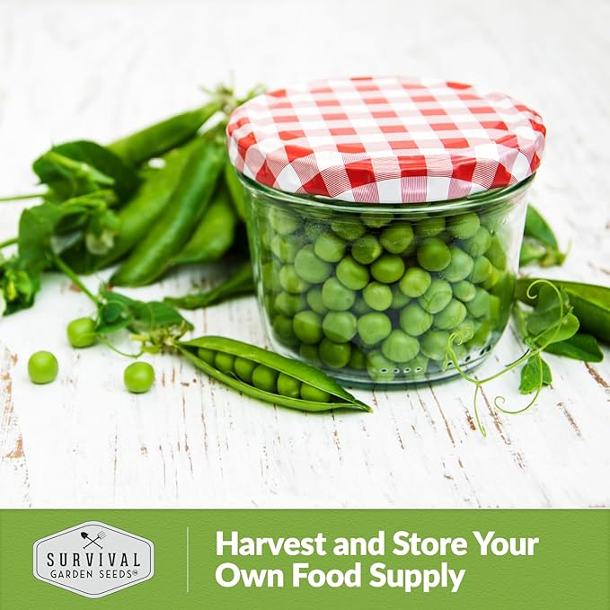 Sugar Ann Dwarf Pea Seed for Planting - 3 Packets with Instructions to Plant and Grow Sweet Snap Peas in Your Home Vegetable Garden - Non-GMO Heirloom Variety - Survival Garden Seeds