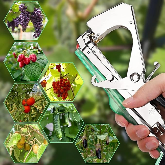 Plant Tying Machine,vine tying machine,plant tape gun for climbing plants,Grapes, Raspberries, Tomatoes and Vining Vegetables flowers. With 10 Rolls Tape, Spare Blades and Springs,10000pcs Staples