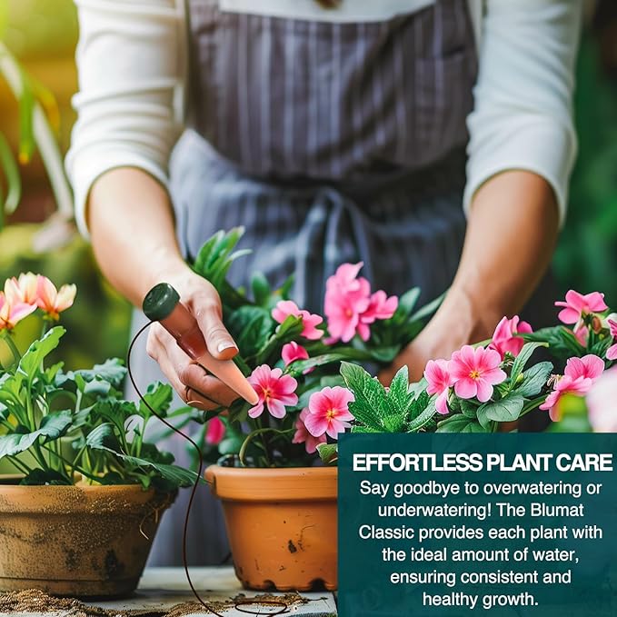 Blumat Classic Plant Watering Stakes - Self-Watering Insert for Indoor and Outdoor Plants - Automatic Slow Release Irrigation System for Potted Plants - Houseplant Care Device (12 Packs)