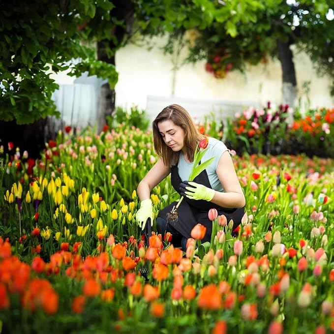 Stainless Weeding Artifact Uprooting Weeding Tool, Stainless Steel Forged Weed Puller 4 Teeth Dual Purpose Weeder, Hand Weeder Tool for Gardening with Long Handle (Black 4Pcs)