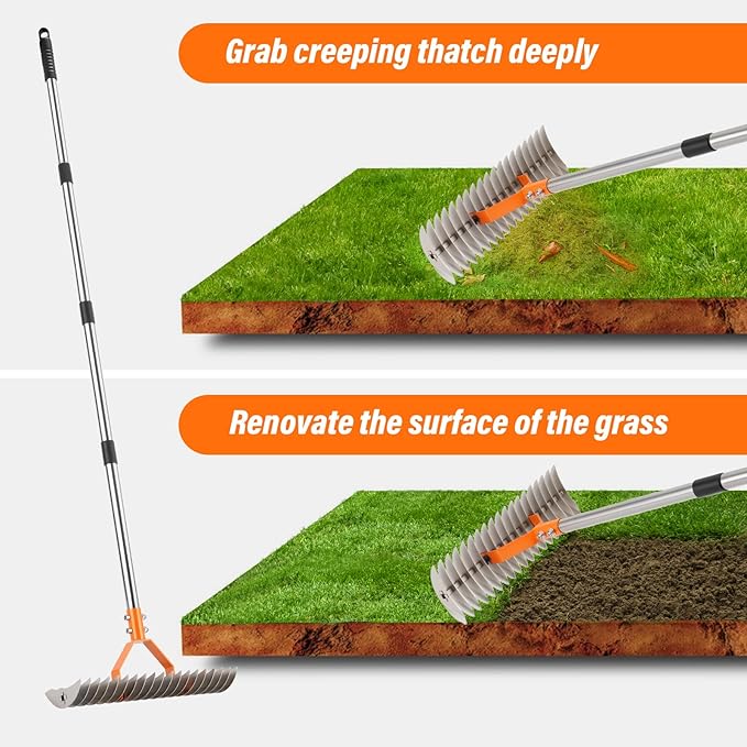 62" Thatch Rake, 19 Double-Sided Tines, 15-Inch Wide Lawn Rake, Adjustable Handle Garden Rake for Dethatching, Gardening, Yard Work, Heavy Duty Dethatcher Rake and Rock Rake