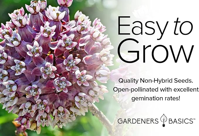 Gardeners Basics, Milkweed Seeds for Monarch Butterflies (4 Variety Pack) Common, Showy, Butterfly and Rose Varieties Attracts Butterflies, Bees and Pollinators Heirloom Flower Seeds Wildflower Seed