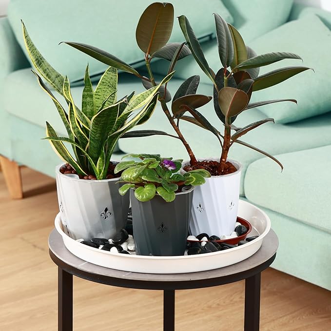 8 Pack Bottom 10 Inch Plant Saucers for Indoors Outdoors Plastic Plant Water Catcher Trays No Holes Round Flower Pot Drip Trays for Pots Base Heavy Duty Plant Pot Saucers Water Drainage Trays, Black