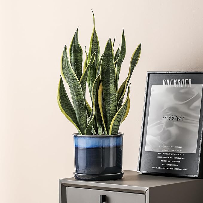 8 Inch Plant Pot: Ceramic Planter with Drainage Hole & Saucer - Gradient Blue Flowerpot for Indoor & Outdoor Plants with Separate Tray