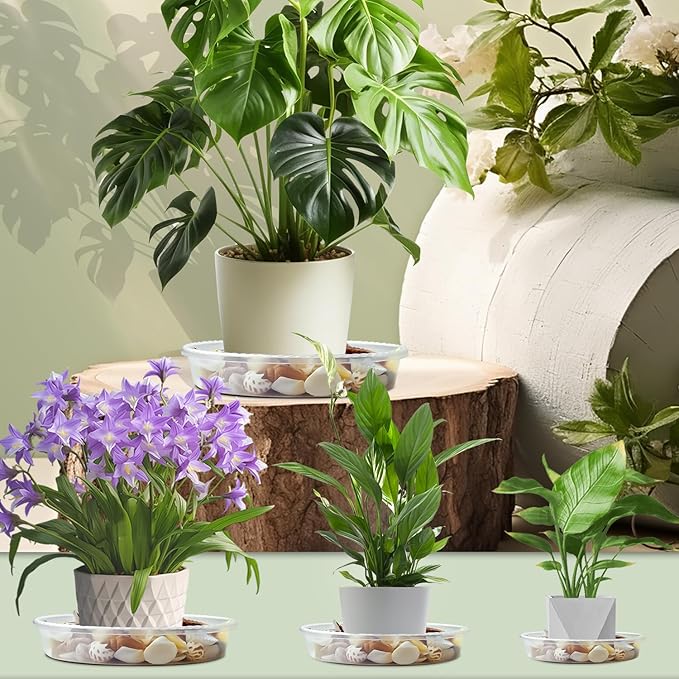 9 Pack Plant Saucers (8inch /10inch /12inch) Heavy Sturdy Plant Trays for Indoor Clear Plastic Flower Pot Saucers Thicker Plant Water Drip Trays for pots -Clear