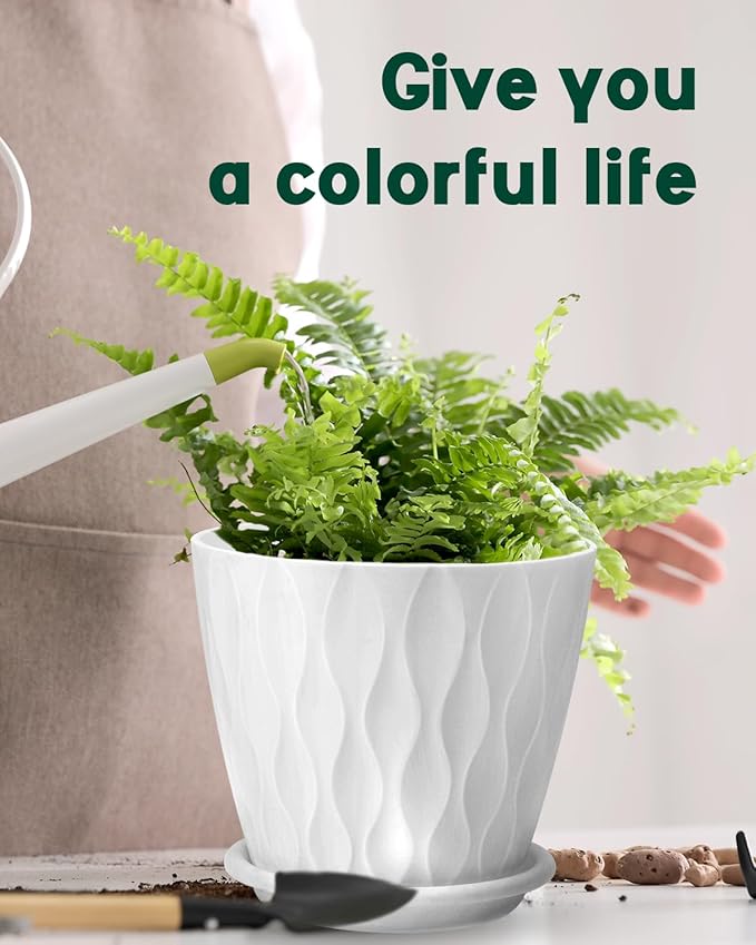 6 Inch Indoor Planter Pots with Drainage Hole and Tray Saucer,Flower Pots for Indoor Outdoor Garden Plants and Flowers, Multicolor, 5 Packs (White)