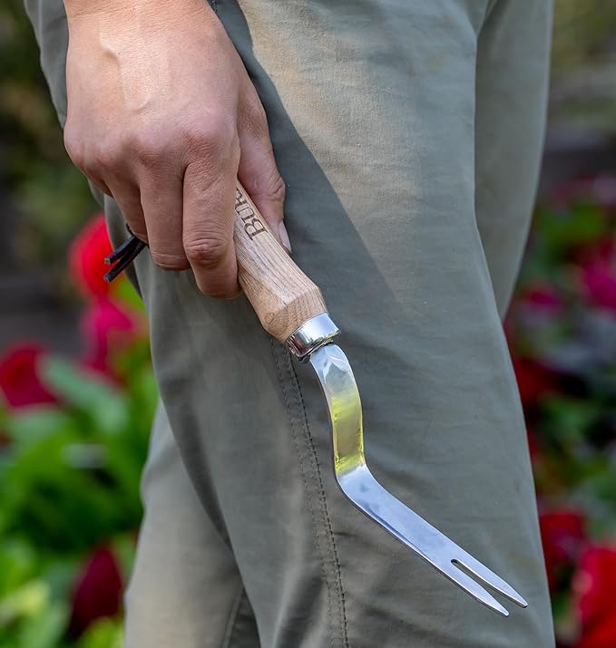 Burpee 12" Stainless Steel Weeder | Durable Long Lasting Garden Tool | Leather Wrist Strap 5" Handle, Oak