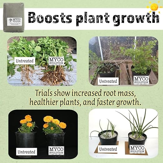 Mycorrhizae Root Fungi Endo Granular Mycorrhizal 134 Spores Mycos Myko (2lb)