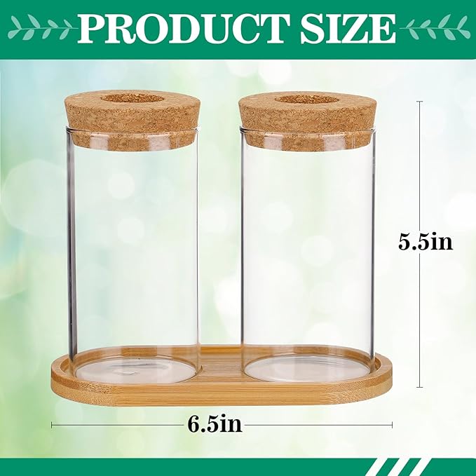 Plants Propagation Station - 2Pcs Desktop Plant Terrarium Glass Hydroponic Vases, Water Plant Propagating Jars, Gardening Gifts for Women Mom Plant Lovers (Thin Straight Shape, Conjoined Tray Style)