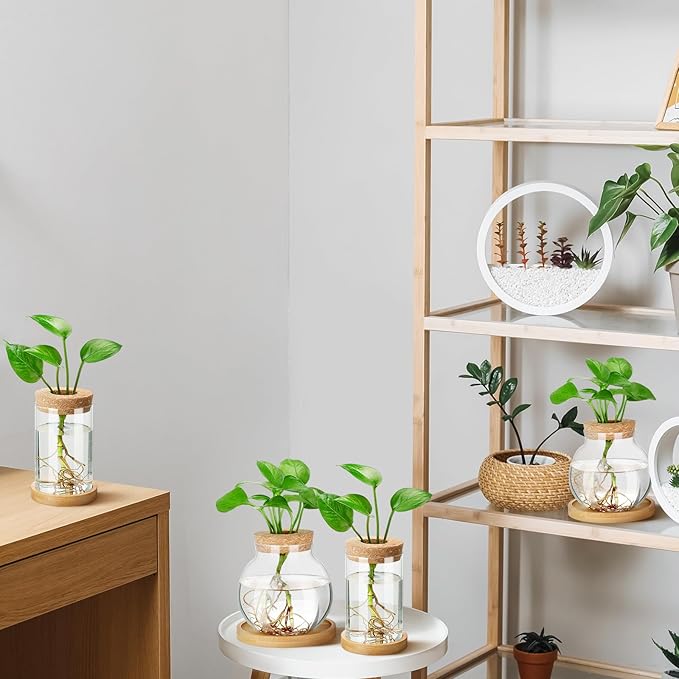 Layhit 4 Pcs Plants Propagation Stations Separated Desktop Plant Terrarium Glass Planter Vase with Wooden Lid and Bamboo Stand for Growing Hydroponic Home Office Tabletop Decoration (Funny Style)