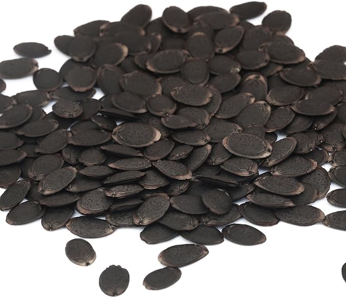 Luffa Seeds, Heirloom Loofah Seeds Packet for Planting Outdoor, Non-GMO Vegetable Seeds Garden Kit, Growing Supply for Bath Sponge for Fresh Veggie Food, Easy to Storage