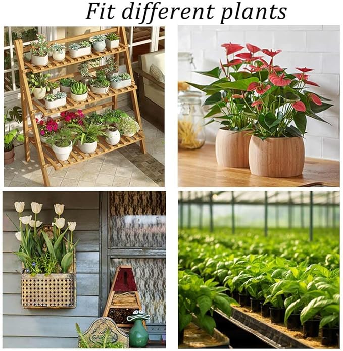 Horticultural Charcoal, Rice Husk Natural Activated Charcoal for Plants Indoor Biochar Soil Amendment Organic for Terrariums - 2.2 lbs