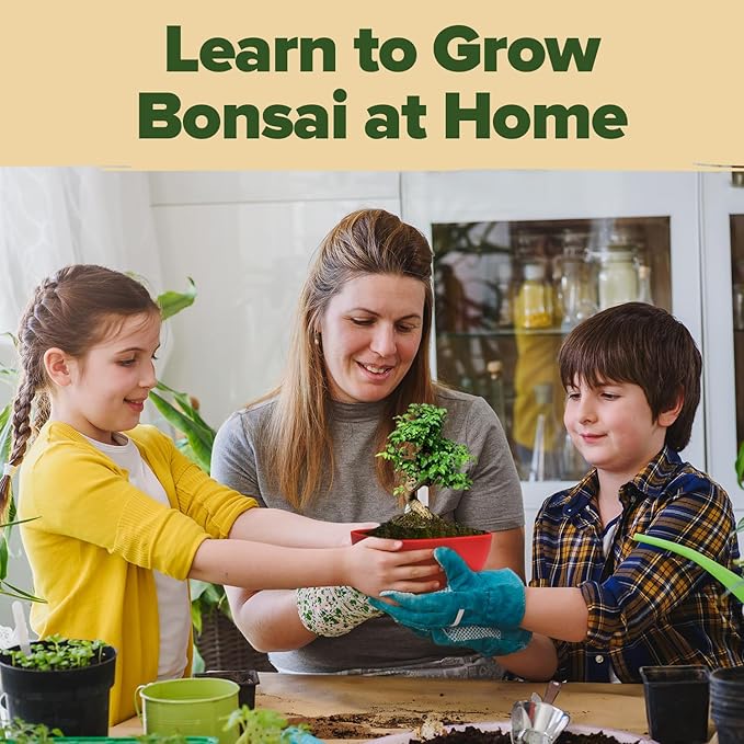 Bonsai Tree Kit - Gifts for Men & Women (Master Kit)